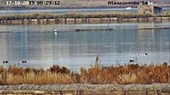 Бургас времето уеб камера резерват 'Атанасовско' езеро между кварталите 'Изгрев' и 'Сарафово', kamerite Free-WebCamBG