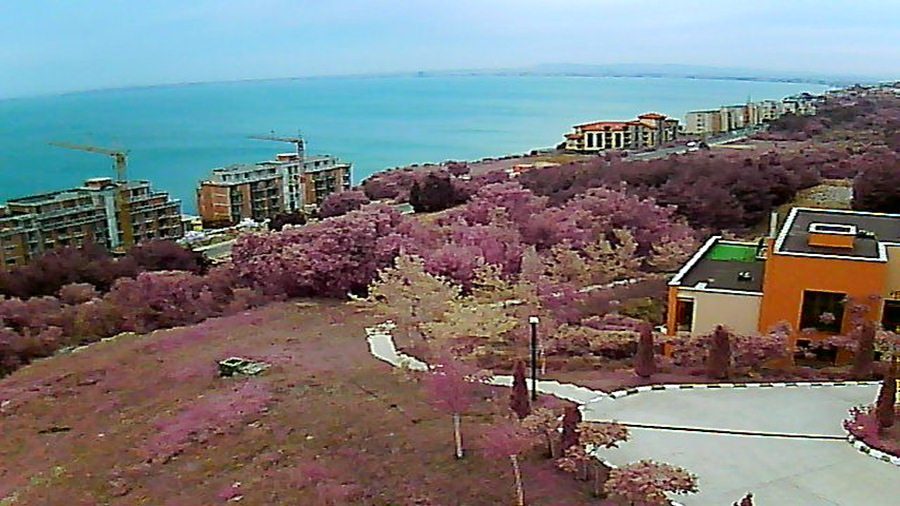 Апартхотел Комплекс 'Сий Форт' ('Sea Fort' Club) времето уеб камери между Свети Влас и 'Елените', над плаж и нос 'Робинзон', панорама залив, kamerite Free-WebCamBG