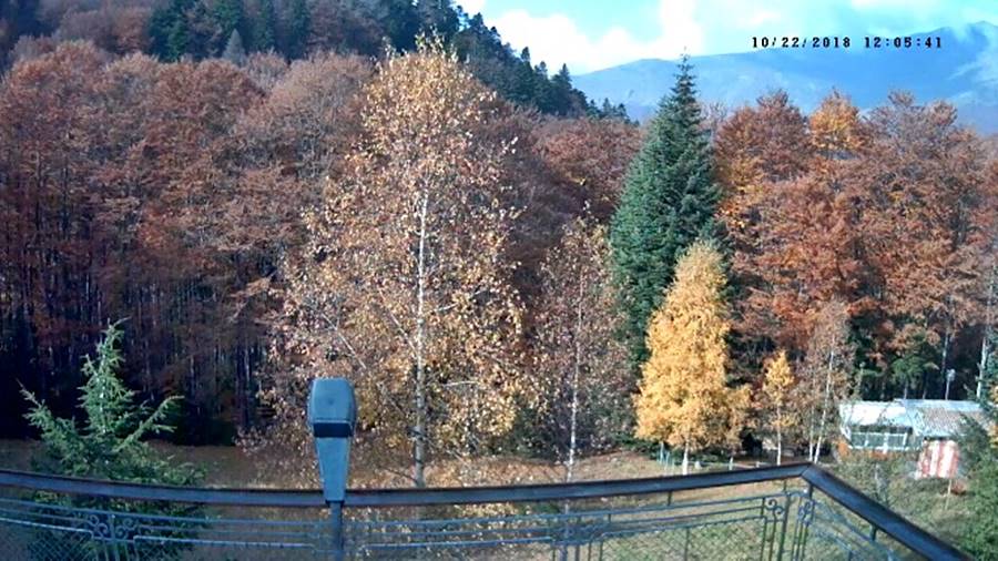 Хижа 'Васил Левски' времето уеб камера с панорамна гледка към връх 'Голям Купен', Стара планина, kamerite Free-WebCamBG