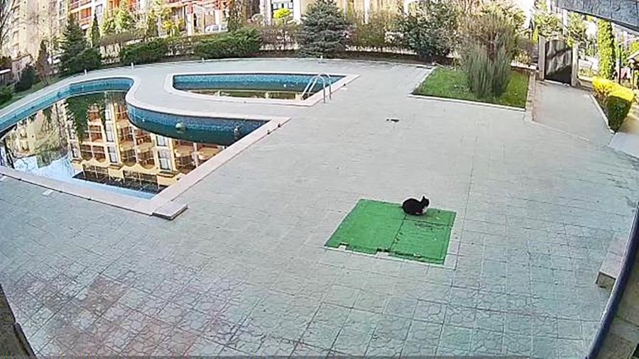 КК 'Слънчев Бряг' времето уеб камера отопляем външен басейн, вътрешен двор ваканционен комплекс Апартхотел 'Съни Вю Норд' ('Sunny View North'), kamerite Free-WebCamBG