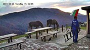 Хижа 'Ехо' времето уеб камера към връх 'Вежен', Тетевенски Балкан, Средна Стара планина Free-WebCamBG